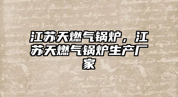 江蘇天燃?xì)忮仩t，江蘇天燃?xì)忮仩t生產(chǎn)廠家