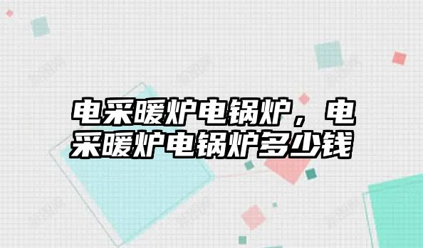 電采暖爐電鍋爐，電采暖爐電鍋爐多少錢
