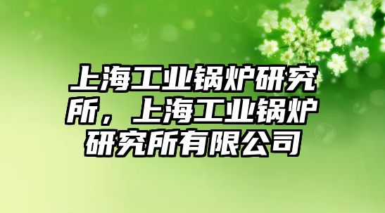 上海工業(yè)鍋爐研究所，上海工業(yè)鍋爐研究所有限公司