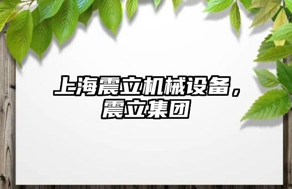 上海震立機(jī)械設(shè)備，震立集團(tuán)