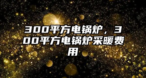 300平方電鍋爐，300平方電鍋爐采暖費(fèi)用