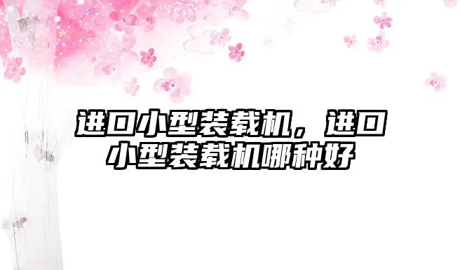 進(jìn)口小型裝載機(jī)，進(jìn)口小型裝載機(jī)哪種好