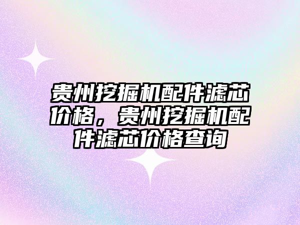 貴州挖掘機(jī)配件濾芯價(jià)格，貴州挖掘機(jī)配件濾芯價(jià)格查詢