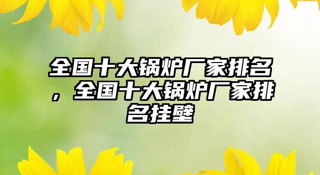 全國十大鍋爐廠家排名，全國十大鍋爐廠家排名掛壁