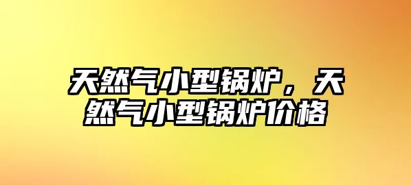 天然氣小型鍋爐，天然氣小型鍋爐價(jià)格