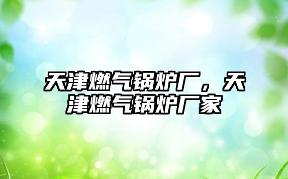 天津燃?xì)忮仩t廠，天津燃?xì)忮仩t廠家