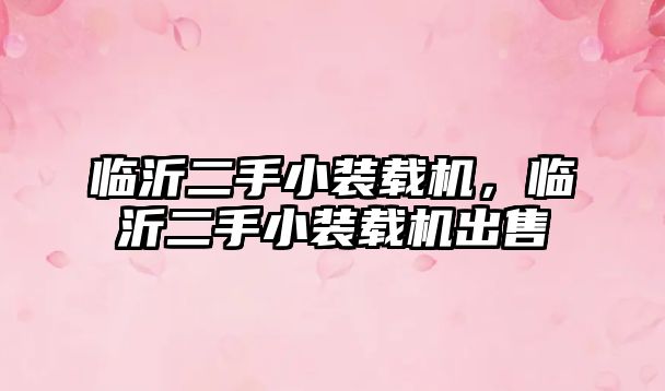 臨沂二手小裝載機(jī)，臨沂二手小裝載機(jī)出售