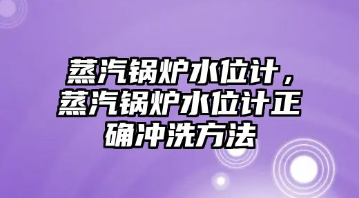 蒸汽鍋爐水位計(jì)，蒸汽鍋爐水位計(jì)正確沖洗方法