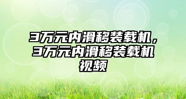 3萬元內(nèi)滑移裝載機，3萬元內(nèi)滑移裝載機視頻