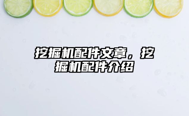 挖掘機(jī)配件文章，挖掘機(jī)配件介紹