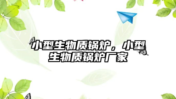 小型生物質(zhì)鍋爐，小型生物質(zhì)鍋爐廠家