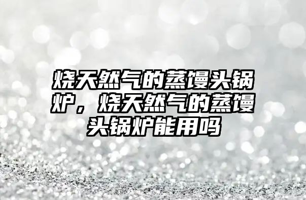 燒天然氣的蒸饅頭鍋爐，燒天然氣的蒸饅頭鍋爐能用嗎