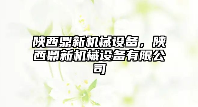 陜西鼎新機(jī)械設(shè)備，陜西鼎新機(jī)械設(shè)備有限公司