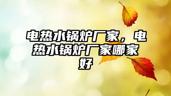 電熱水鍋爐廠家，電熱水鍋爐廠家哪家好
