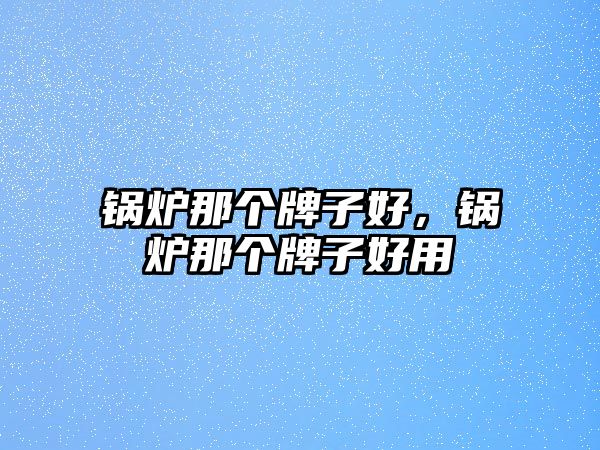 鍋爐那個牌子好，鍋爐那個牌子好用