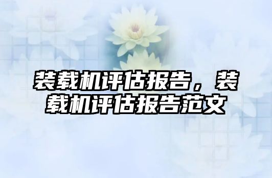 裝載機(jī)評估報(bào)告，裝載機(jī)評估報(bào)告范文