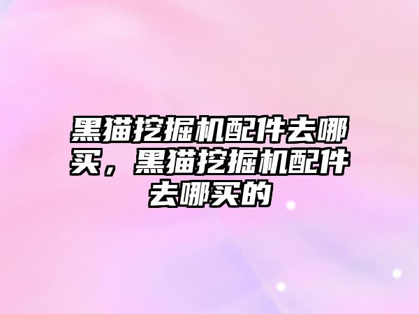 黑貓挖掘機配件去哪買，黑貓挖掘機配件去哪買的