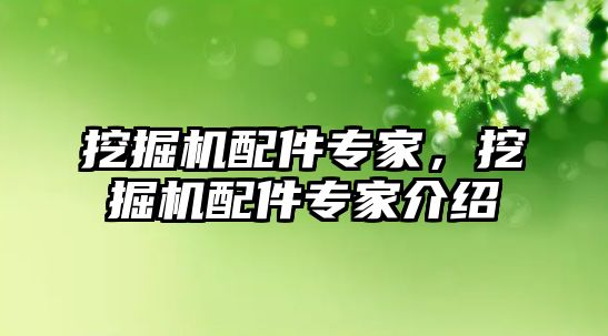 挖掘機(jī)配件專家，挖掘機(jī)配件專家介紹