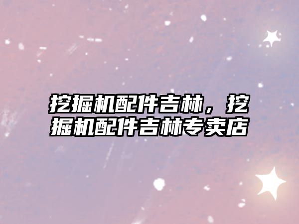挖掘機(jī)配件吉林，挖掘機(jī)配件吉林專賣店