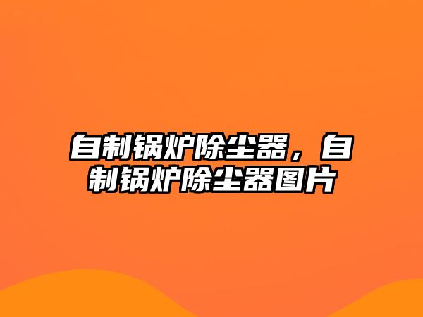 自制鍋爐除塵器，自制鍋爐除塵器圖片
