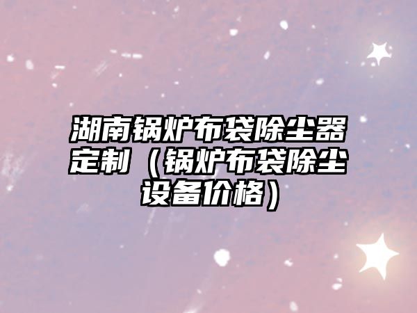 湖南鍋爐布袋除塵器定制（鍋爐布袋除塵設(shè)備價(jià)格）