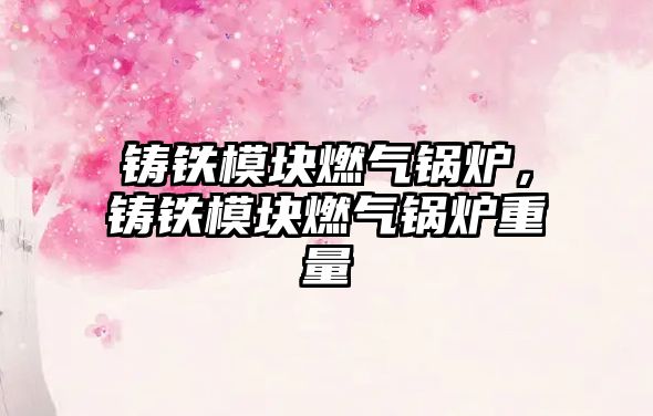 鑄鐵模塊燃?xì)忮仩t，鑄鐵模塊燃?xì)忮仩t重量