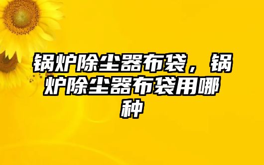 鍋爐除塵器布袋，鍋爐除塵器布袋用哪種