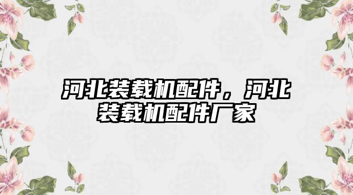 河北裝載機配件，河北裝載機配件廠家