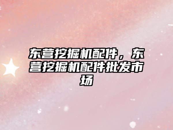 東營(yíng)挖掘機(jī)配件，東營(yíng)挖掘機(jī)配件批發(fā)市場(chǎng)