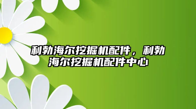 利勃海爾挖掘機配件，利勃海爾挖掘機配件中心