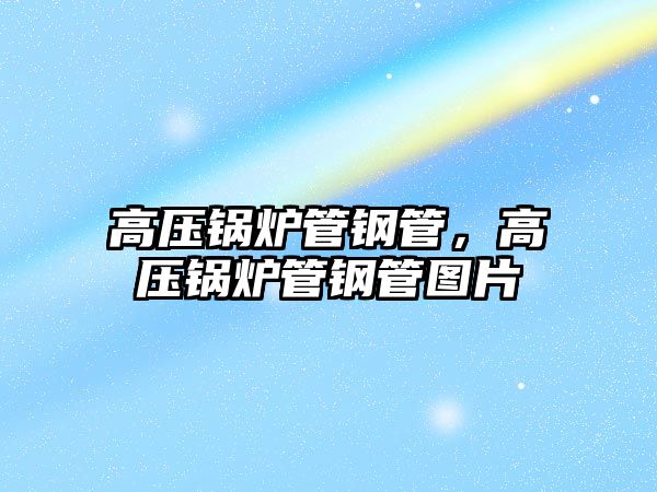 高壓鍋爐管鋼管，高壓鍋爐管鋼管圖片