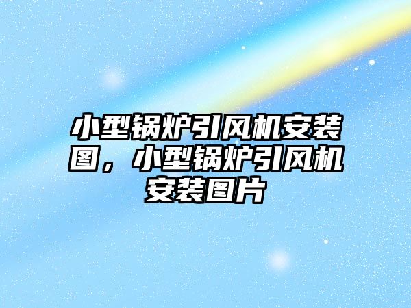 小型鍋爐引風(fēng)機(jī)安裝圖，小型鍋爐引風(fēng)機(jī)安裝圖片