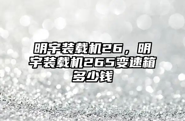 明宇裝載機26，明宇裝載機265變速箱多少錢