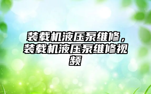 裝載機(jī)液壓泵維修，裝載機(jī)液壓泵維修視頻