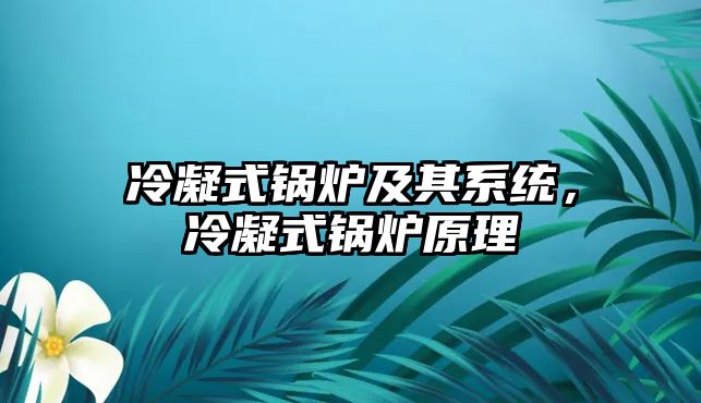 冷凝式鍋爐及其系統(tǒng)，冷凝式鍋爐原理