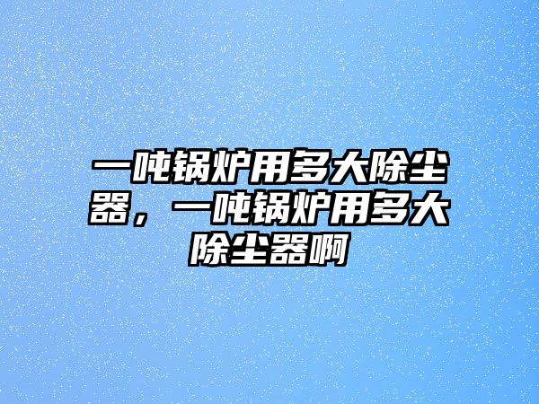 一噸鍋爐用多大除塵器，一噸鍋爐用多大除塵器啊