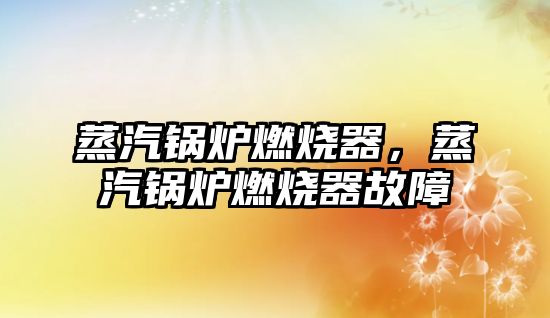 蒸汽鍋爐燃燒器，蒸汽鍋爐燃燒器故障
