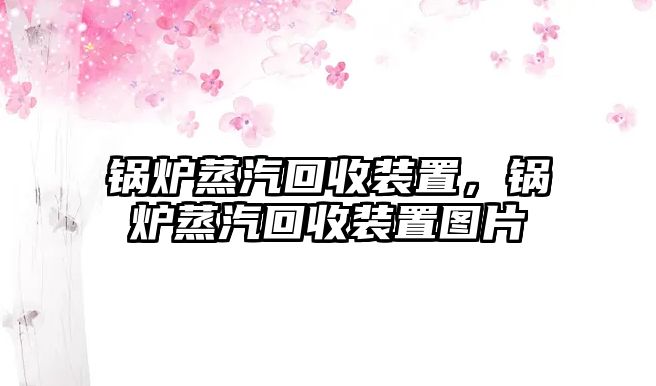 鍋爐蒸汽回收裝置，鍋爐蒸汽回收裝置圖片