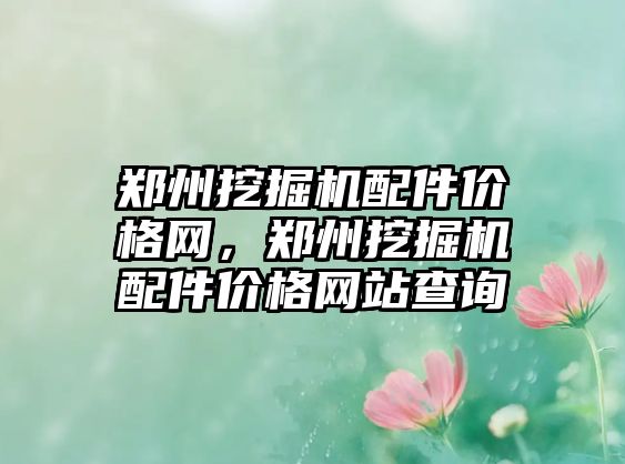 鄭州挖掘機(jī)配件價(jià)格網(wǎng)，鄭州挖掘機(jī)配件價(jià)格網(wǎng)站查詢