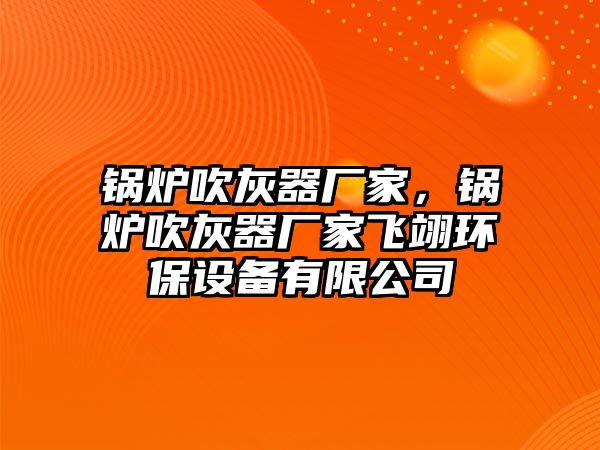 鍋爐吹灰器廠家，鍋爐吹灰器廠家飛翊環(huán)保設(shè)備有限公司