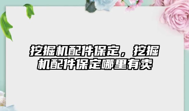 挖掘機配件保定，挖掘機配件保定哪里有賣