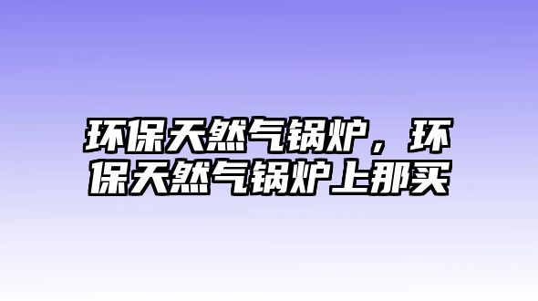 環(huán)保天然氣鍋爐，環(huán)保天然氣鍋爐上那買