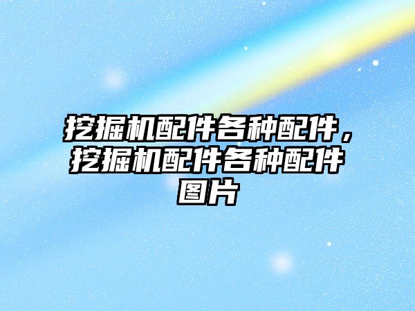 挖掘機配件各種配件，挖掘機配件各種配件圖片