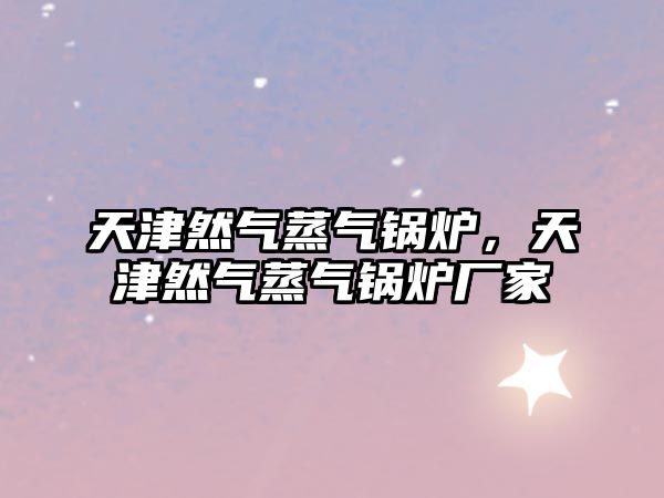 天津然氣蒸氣鍋爐，天津然氣蒸氣鍋爐廠家