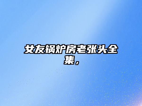 女友鍋爐房老張頭全集，