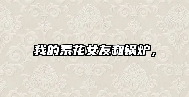 我的系花女友和鍋爐，