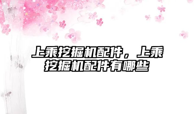 上乘挖掘機配件，上乘挖掘機配件有哪些