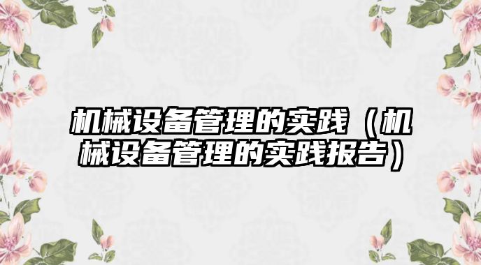 機(jī)械設(shè)備管理的實踐（機(jī)械設(shè)備管理的實踐報告）