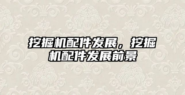 挖掘機配件發(fā)展，挖掘機配件發(fā)展前景