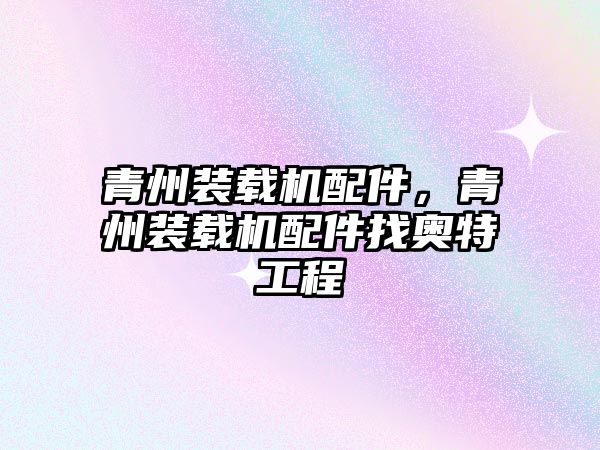 青州裝載機(jī)配件，青州裝載機(jī)配件找?jiàn)W特工程